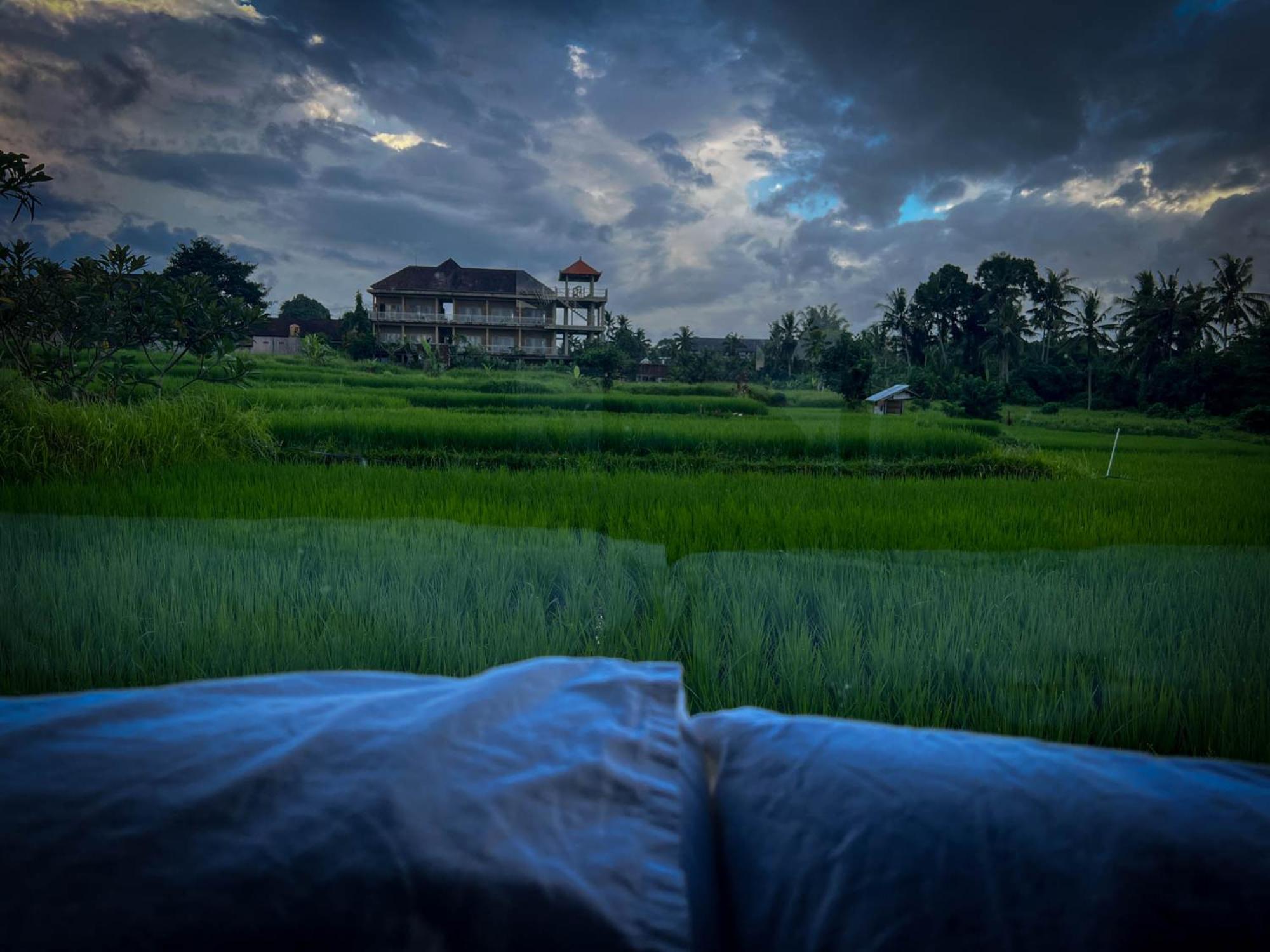 Villa Karma Ubud Eksteriør bilde